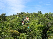 Thumbnail of pic_Thomas_Leung_025.jpg