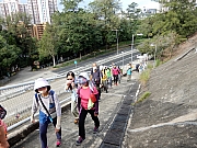 Thumbnail of PB150007.JPG