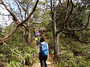 Thumbnail of PB150040.JPG