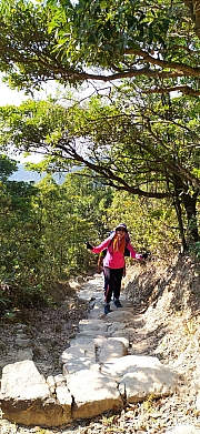Thumbnail of pic_Sam_Ho_020.jpg