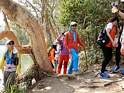 Thumbnail of P2140069.JPG