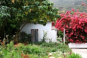 Thumbnail of pic_KL_Sin_068.jpg