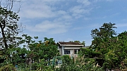 Thumbnail of pic_KL_Sin_079.jpg