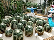 Thumbnail of P5230052.jpg