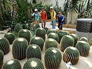 Thumbnail of P5230062.jpg