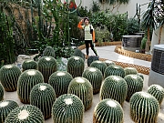Thumbnail of P5230069.jpg