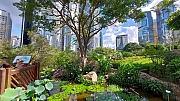 Thumbnail of pic_KL_Sin_018.jpg