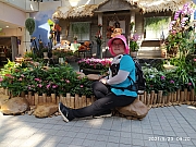 Thumbnail of pic_Sam_Ho_018.jpg