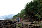 Thumbnail of pic_KL_Sin_099.jpg