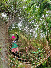 Thumbnail of pic_Ling_047.jpg