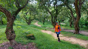 Thumbnail of pic_KL_Sin_012.jpg
