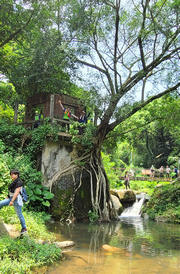 Thumbnail of pic_KL_Sin_075.jpg