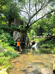 Thumbnail of pic_KL_Sin_079.jpg