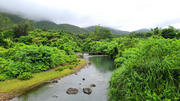 Thumbnail of pic_KL_Sin_001.jpg
