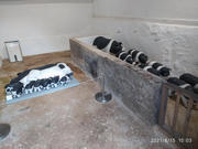 Thumbnail of pic_Sam_Ho_013.jpg