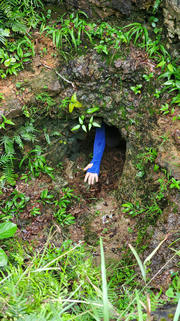 Thumbnail of pic_TB_Tung_007.jpg