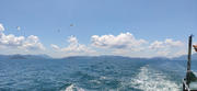 Thumbnail of pic_Fenda_Yuen_226.jpg