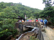 Thumbnail of P8290015.JPG