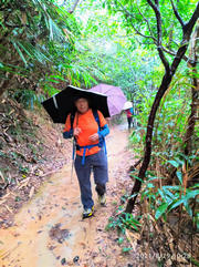 Thumbnail of pic_Sam_Ho_031.jpg