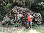 Thumbnail of pic_Derek_Wong_109.jpg