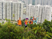 Thumbnail of pic_TK_Fu_003.jpg