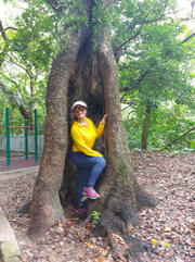 Thumbnail of pic_David_Chan_025.jpg