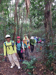 Thumbnail of pic_KM_Law_051.jpg