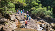 Thumbnail of pic_Sam_Ho_016.jpg