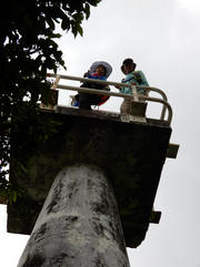 Thumbnail of PA310082.JPG