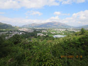 Thumbnail of pic_Derek_Wong_142.JPG