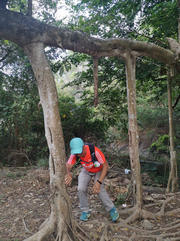 Thumbnail of pic_Ping_Tsang_026.jpg