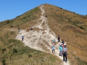 Thumbnail of PB140109.JPG