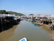 Thumbnail of PB280100.JPG
