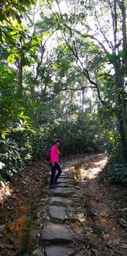 Thumbnail of pic_Cindy_Tse_009.jpg