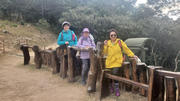 Thumbnail of pic_TB_Tung_002.jpg