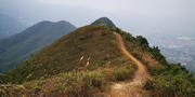 Thumbnail of pic_Cindy_Tse_025.jpg