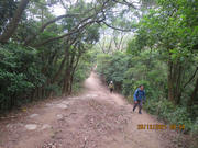 Thumbnail of pic_Derek_Wong_007.JPG