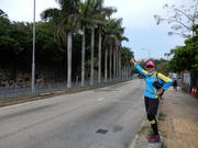 Thumbnail of P1160081.JPG