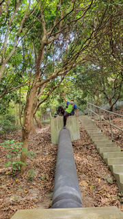 Thumbnail of pic_WaiGor_080.jpg