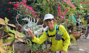 Thumbnail of pic_WaiGor_086.jpg