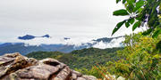 Thumbnail of pic_Cindy_Tse_039.jpg