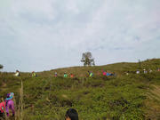 Thumbnail of pic_SK_Kwan_027.jpg
