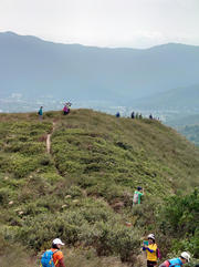Thumbnail of pic_SK_Kwan_028.jpg