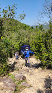 Thumbnail of pic_WaiGor_032.jpg