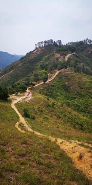 Thumbnail of pic_Cindy_Tse_044.jpg