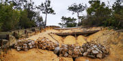 Thumbnail of pic_Cindy_Tse_079.jpg