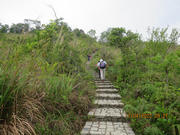 Thumbnail of pic_Derek_Wong_031.JPG