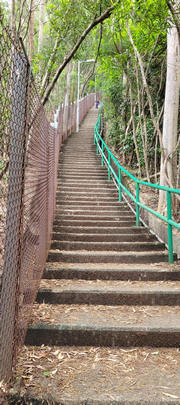 Thumbnail of pic_Sister9_007.jpg