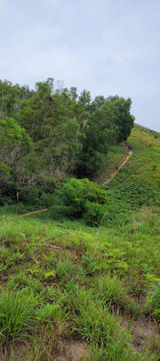 Thumbnail of pic_Sister9_022.jpg
