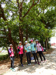 Thumbnail of P4240104.JPG